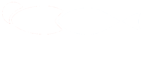 158:ans Fisk